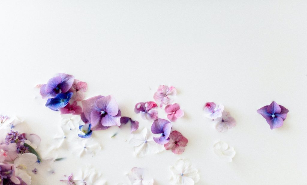 9 Amazing Green Blog Ideas